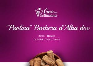 "Paolina" Barbera d'Alba doc - 2015