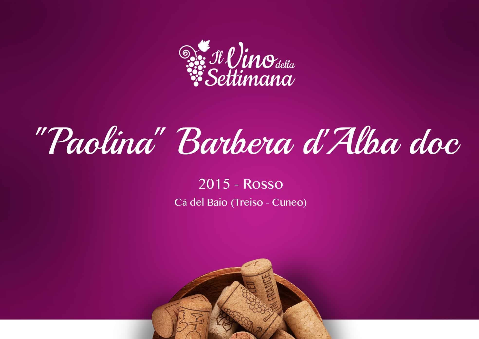 "Paolina" Barbera d'Alba doc - 2015