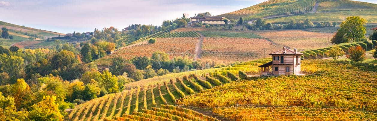 roero-colline