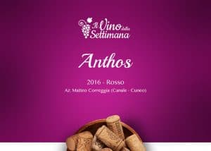 Copertina - Rubrica vino - Anthos