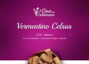 Copertina - Rubrica vino - Vermentino