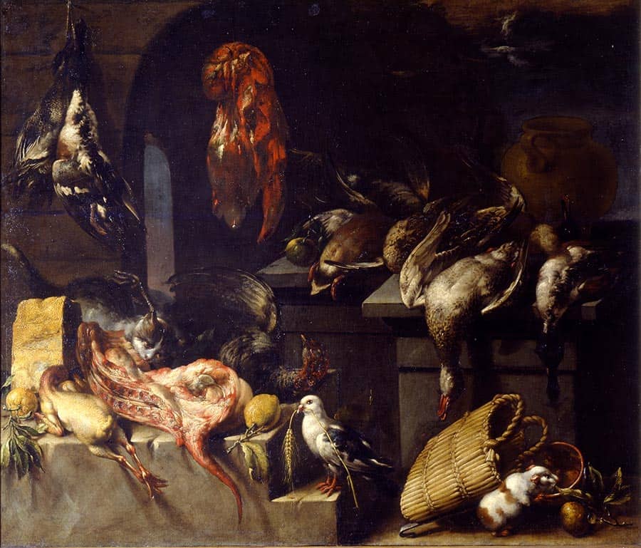Quadro Felice Boselli Felice Boselli. DISPENSA CON SELVAGGINA, PUNTA DI FORMAGGIO LIMONI, GATTO, COLOMBA E PORCELLINO D’INDIA (1650-1732)