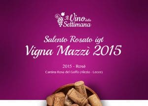 Copertina - Rubrica vino - vigna mazzi