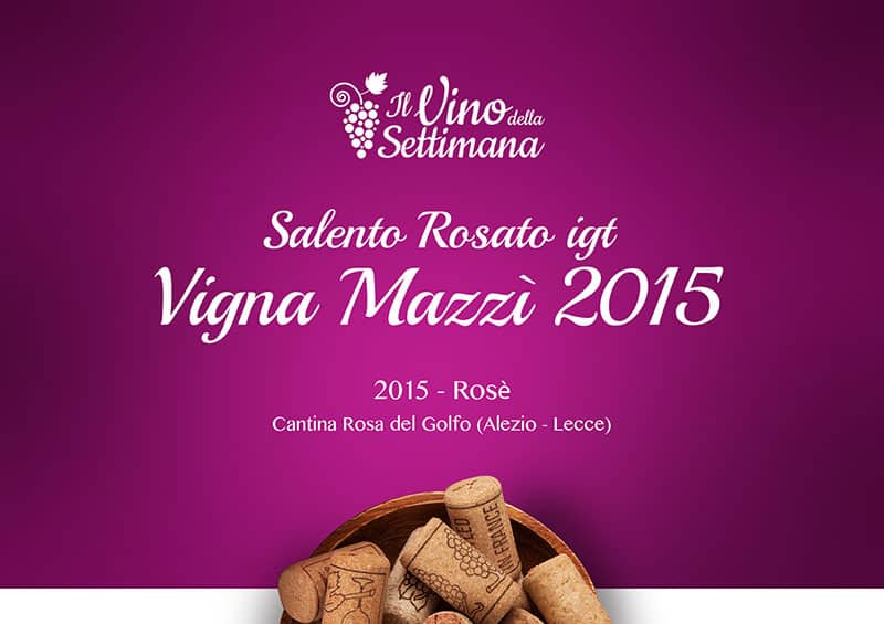 Copertina - Rubrica vino - vigna mazzi